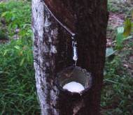 natuur rubber voor yoga mat